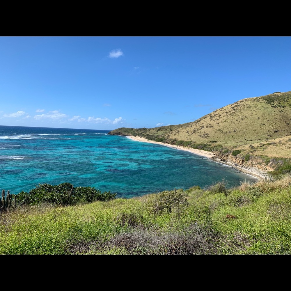 Meet your Posher, Regina